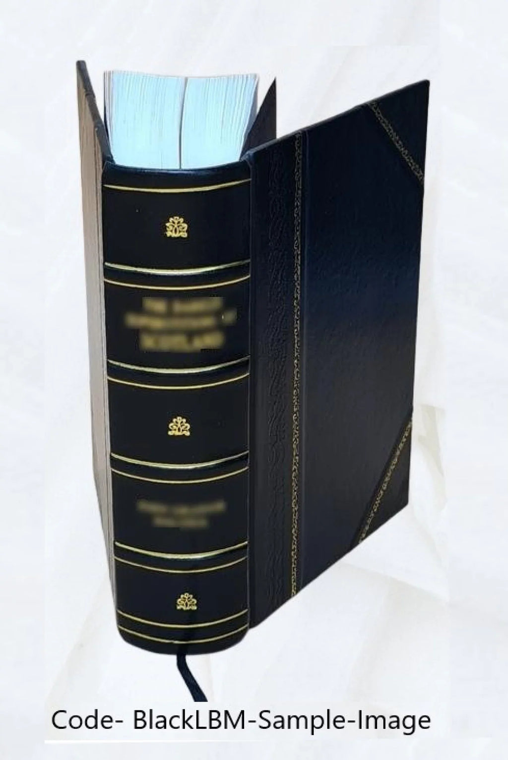 [(Soundex) index to 1900 census, Alabama] Volume Alabama - T1030 - H-400 Mary-H-430 Guy J. 1900 [Leather Bound]