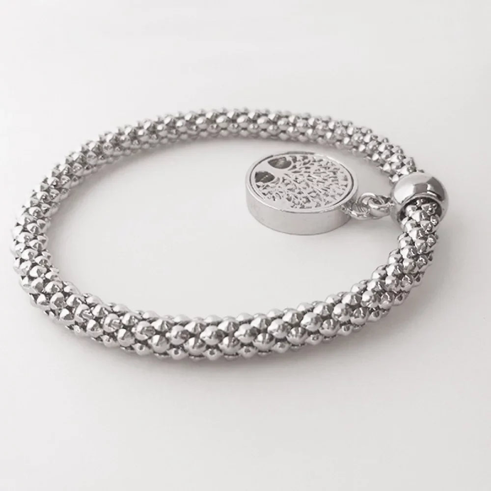 St. Petersburg Russia National Symbol Sliver Bracelet Pendant Jewelry Chain Adjustable Bangle