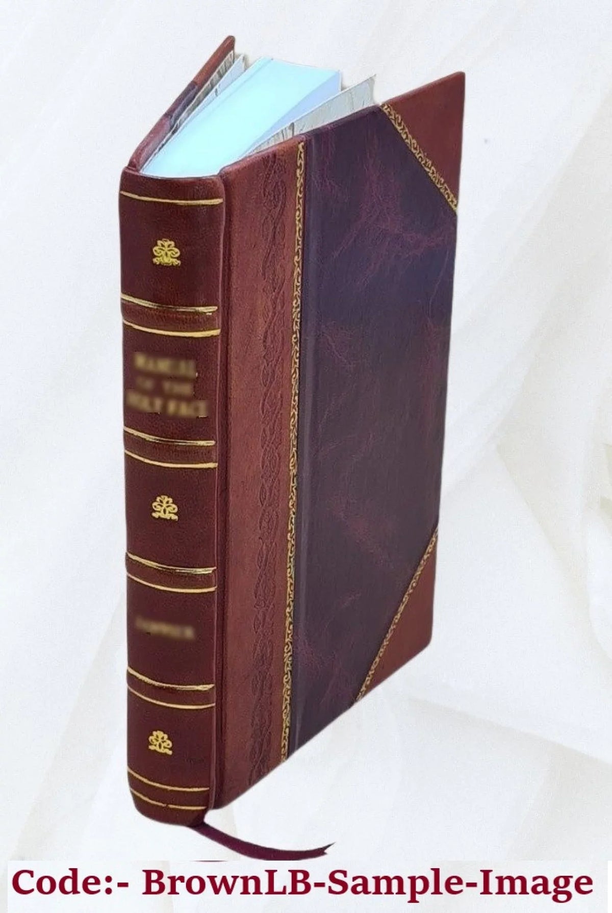Sacred cities: narrative, descriptive, historical 1878 [Leather Bound]