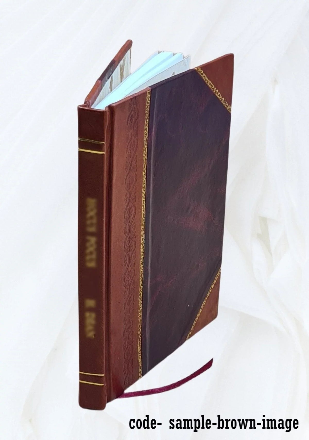 Microcomputers in park and recreation agencies in the United States : a survey and analysis / by Ralph E. Thayer, Peter E. Sorant, Fritz W. Wagner. 1985 [Leather Bound]