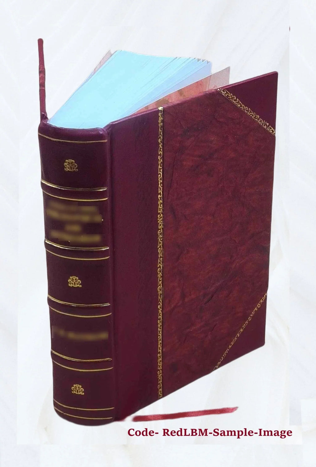 [(Soundex) index to 1900 census, Alabama] Volume Alabama - T1030 - H-400 Mary-H-430 Guy J. 1900 [Leather Bound]