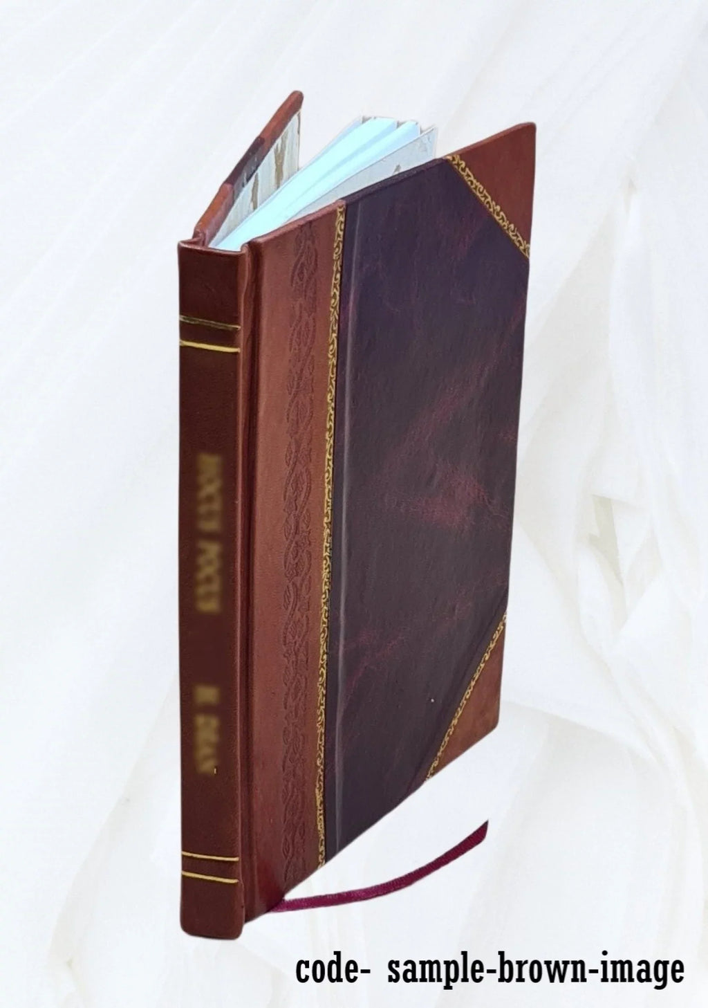 A recent campaign in Puerto Rico by the Independent Regular Brigade under the command of Brig. General Schwan 1907 [Leather Bound]