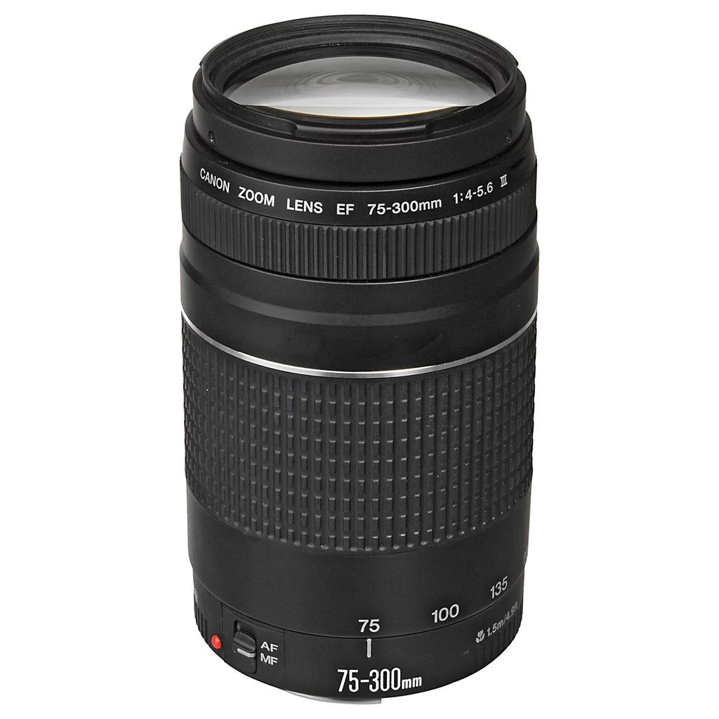 Canon EOS R6 Mark II Mirrorless Camera with RF 24-105mm Lens + EF 75-300mm + Mount Adapter + 2 Pack SanDisk 32GB Memory Card + LED Flash + Case + ZeeTech Accessory